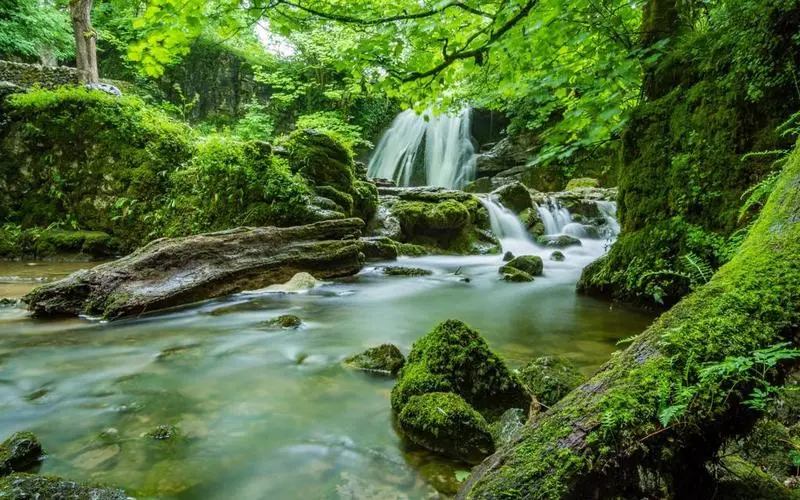 精密独特高标准